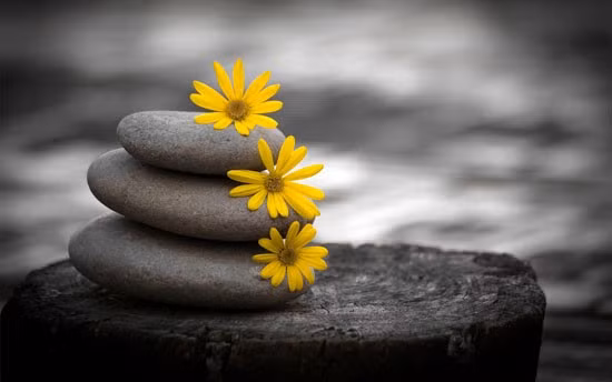 Tuất thuận lợi cả công việc lẫn tình cảm, Ngọ có tin vui ngày 9/9