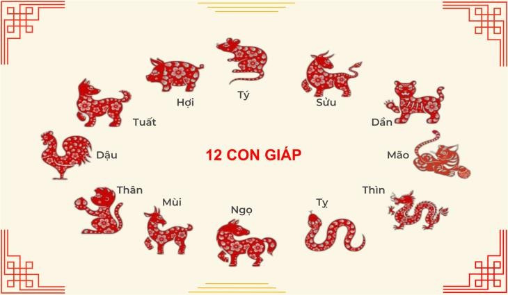 Tử vi 12 con giáp ngày 1/7: Mùi vận khí vững vàng, Hợi đào hoa nở rộ