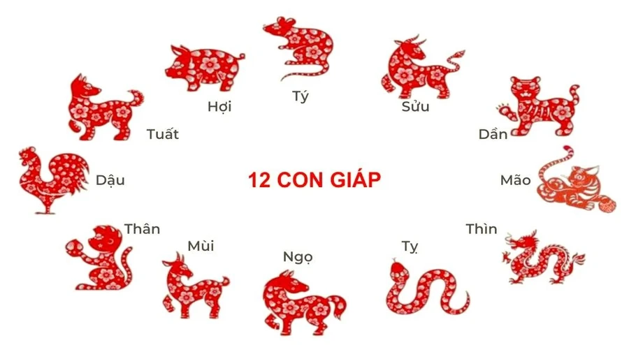 Tử vi 12 con giáp 28/5: Sửu gặp trở ngại do tiểu nhân, Dậu phát triển sự nghiệp