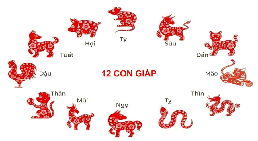 Tử vi 12 con giáp 28/5: Sửu gặp trở ngại do tiểu nhân, Dậu phát triển sự nghiệp