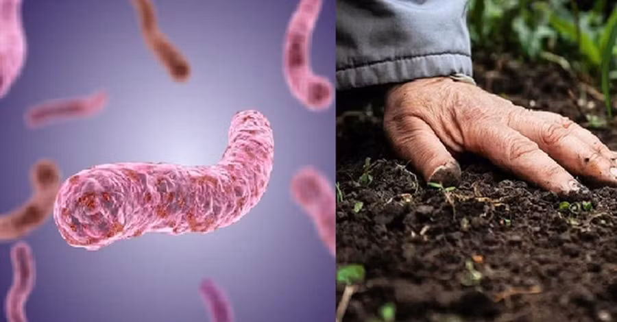 Thông thường sau một trận mưa lớn, vi khuẩn có thể dễ dàng xâm nhập qua các lỗ chân lông trên da và xâm nhập vào các mạch bạch huyết, gây ra bệnh hồng cầu và viêm hạch bạch huyết. (Ảnh: ITN)