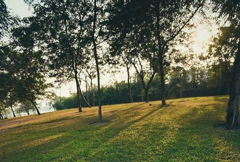 3 cung hoàng đạo tràn đầy năng lượng và ý tưởng trong ngày 23/1