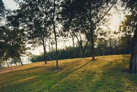 3 cung hoàng đạo tràn đầy năng lượng và ý tưởng trong ngày 23/1