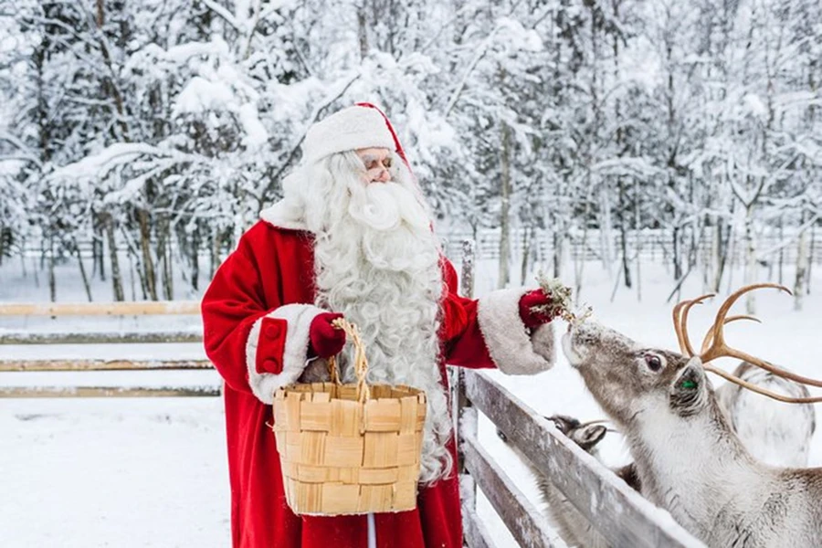 Tại sao tuần lộc kéo xe trượt tuyết của ông già Noel?