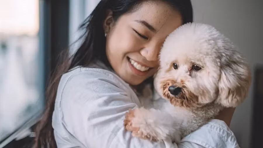 Quá trình điều trị không thể tránh khỏi cảm giác cô đơn hoặc bất lực, nhưng thú cưng là người bạn trung thành nhất và sẽ luôn ở bên cạnh bạn. (Ảnh: ITN)