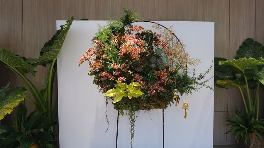 Nghệ thuật nở hoa từ những điều bình dị