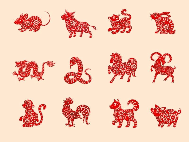 Tử vi 12 con giáp ngày 19/4: Tý, Mùi vượng tình yêu, tài lộc