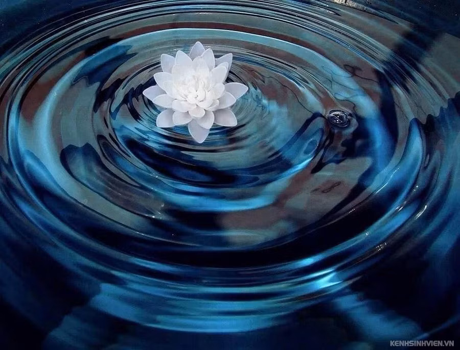 Thìn sự nghiệp có phần thăng trầm, Hợi ăn nên làm ra ngày 17/1