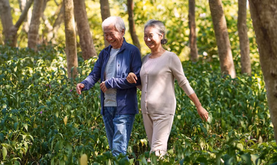 Hạn chế hấp thụ calo giúp trì hoãn sự lão hóa. (Ảnh: ITN)