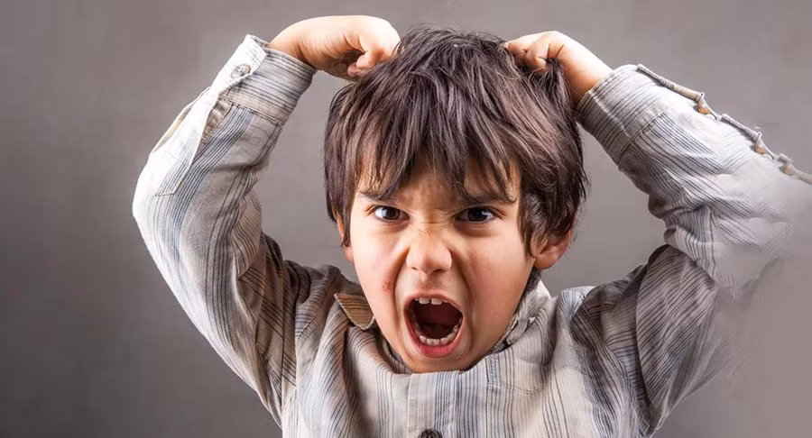 3. Neu con co ve hung du.jpg