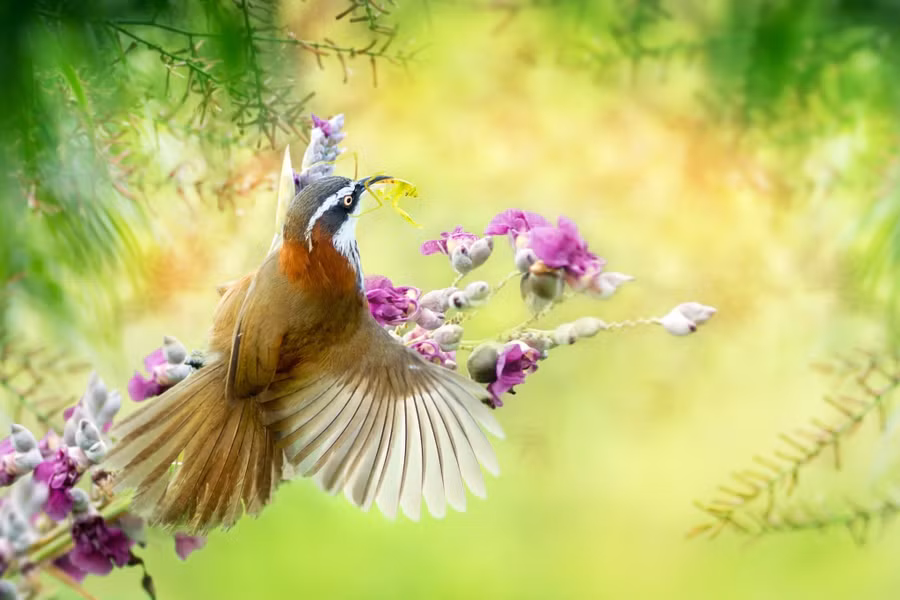 Tử vi 12 con giáp ngày 29/9: Mùi, Tuổi Dậu làm gì cũng thuận, tài lộc có tin vui