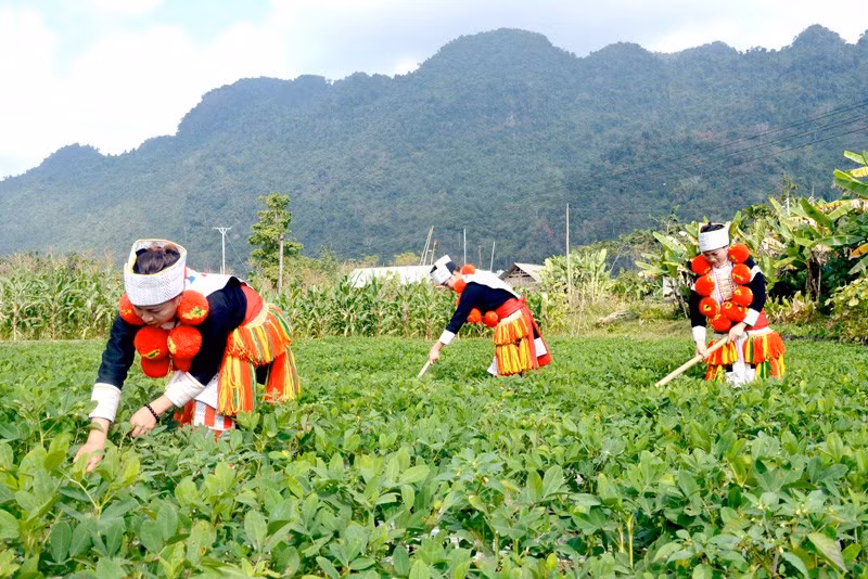 Tăng thêm nguồn lực nâng cao đời sống đồng bào để không ai bị bỏ lại phía sau