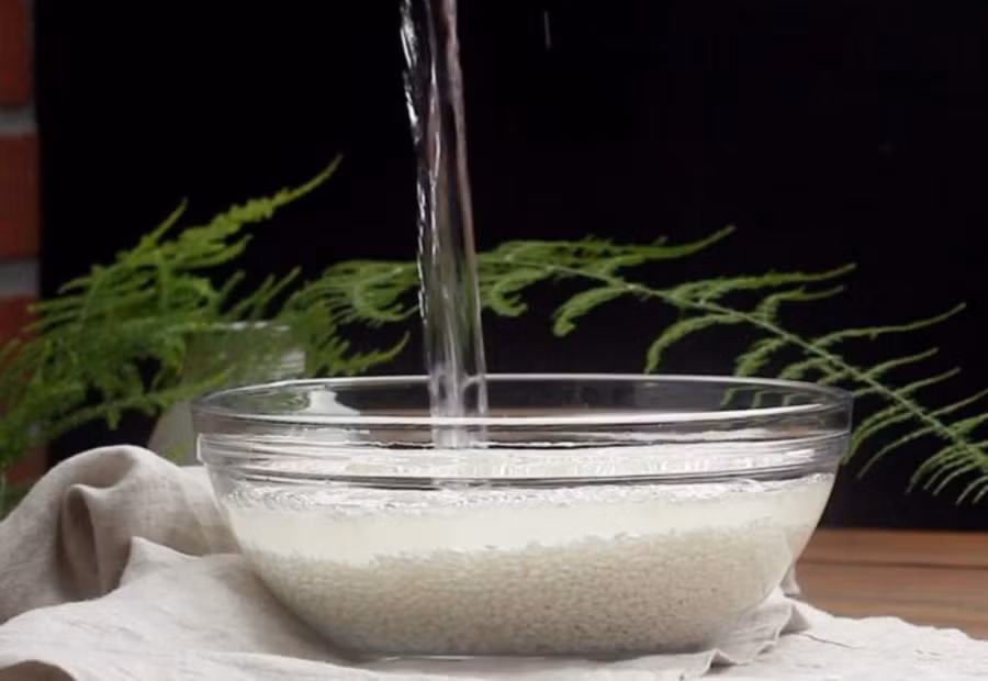 Nước vo gạo có tính kiềm nhẹ, chứa tinh bột, có khả năng phân giải dầu mỡ hiệu quả. (Ảnh: ITN)