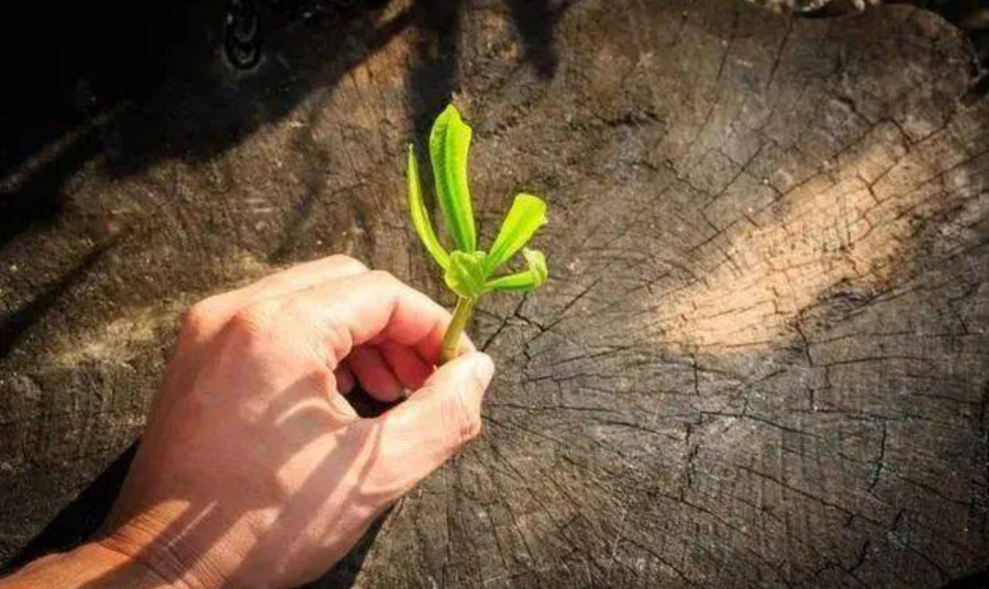 Nếu không kiểm soát tốt bệnh lười biếng, nó sẽ trở thành chướng ngại vật lớn nhất, tấn công và ngăn cản chúng ta mọi lúc mọi nơi. (Ảnh: ITN).