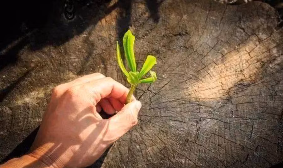 Nếu không kiểm soát tốt bệnh lười biếng, nó sẽ trở thành chướng ngại vật lớn nhất, tấn công và ngăn cản chúng ta mọi lúc mọi nơi. (Ảnh: ITN).