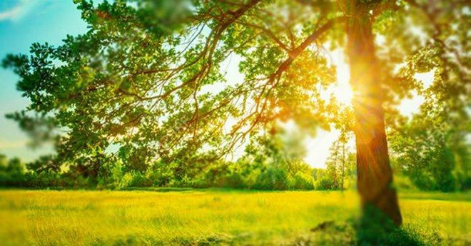 3 con giáp đón tin vui, công việc hanh thông lại có cơ hội tăng thu nhập ngày 29/5