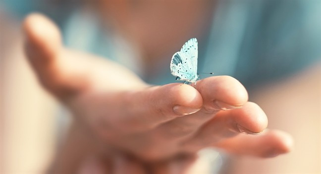 Tử vi 12 con giáp ngày 21/8: Sửu tình cảm sóng gió, Tuất tài chính bất ổn