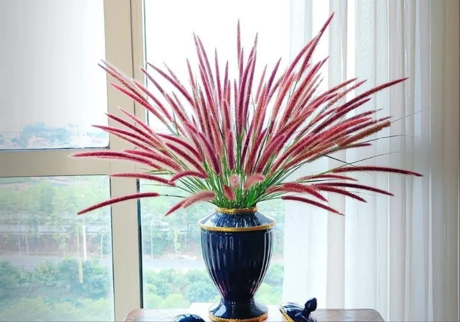 4 con giáp được cát tinh soi chiếu, sự nghiệp, tài lộc vô cùng vượng phát ngày 5/6
