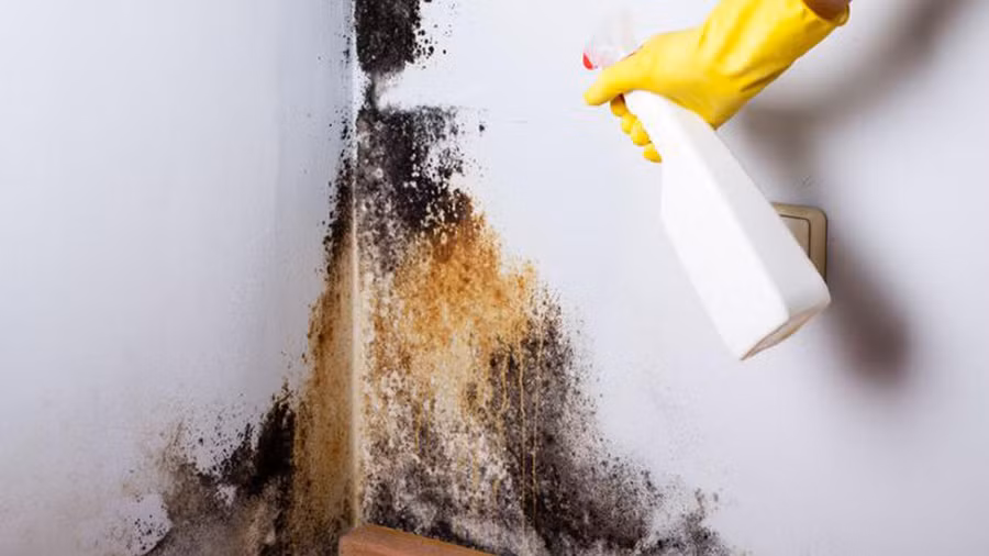 2. Neu khi hau con am uot.jpg