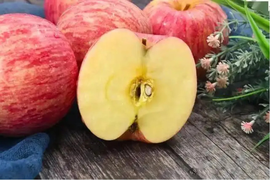 Chất xơ trong táo thúc đẩy tiêu hóa, giảm tích tụ độc tố trong cơ thể, từ đó gián tiếp bảo vệ phổi. (Ảnh: ITN)