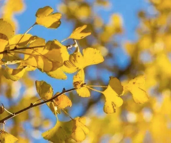 Tử vi 12 con giáp ngày 18/2: Tý tài lộc cực vượng, Thìn vận may gõ cửa