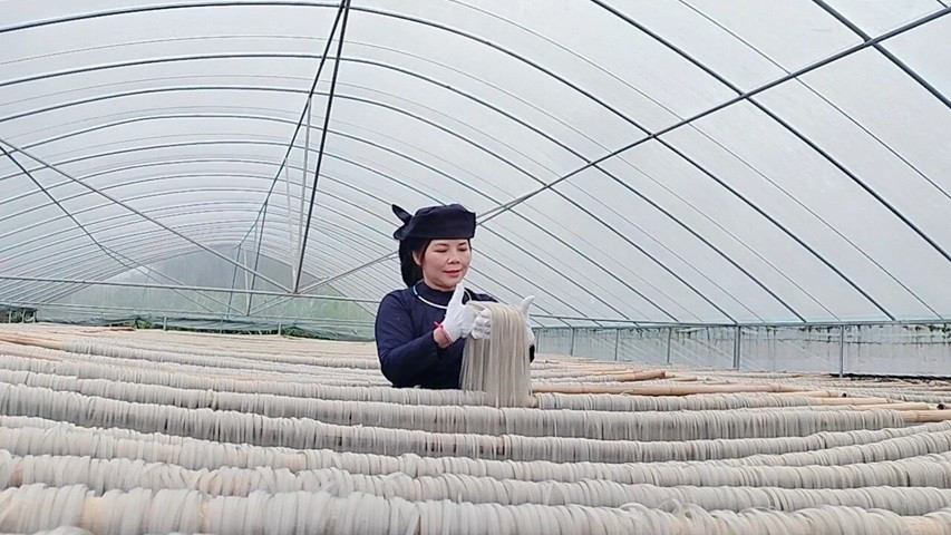 Các mô hình hay góp phần chung tay với công cuộc xóa đói giảm nghèo bền vững. Ảnh HTX Tài Hoan. image003-9897.jpg