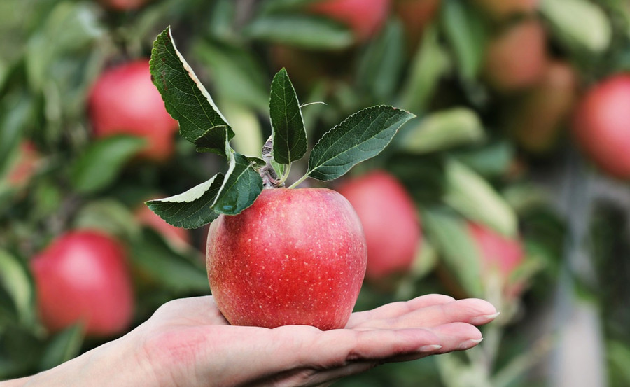 "Tác động tâm lý" thực sự có thể khiến con người cảm thấy tốt hơn. (Ảnh: ITN)