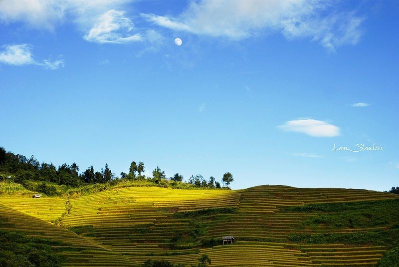 3 cung hoàng đạo có ngày thứ 7 viên mãn, mọi sự như ý muốn