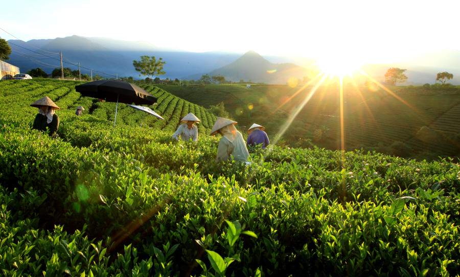 Năm 2026 vẫn áp dụng chuẩn nghèo đa chiều giai đoạn 2022–2025. Ảnh TL