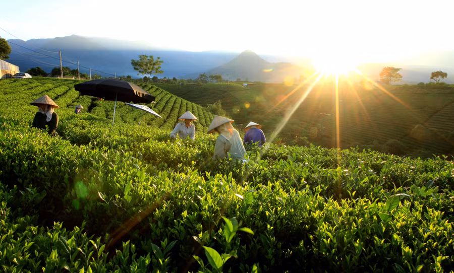 Năm 2026 vẫn áp dụng chuẩn nghèo đa chiều giai đoạn 2022–2025. Ảnh TL