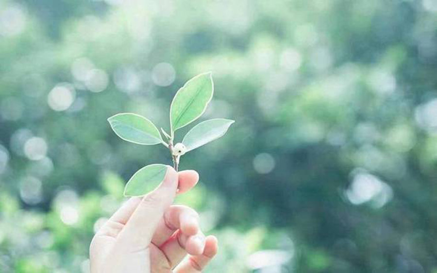 Phụ nữ độc thân lâu năm khó có thể cởi bỏ lớp ngụy trang mạnh mẽ của mình. (Ảnh: ITN). 3-ho-da-quen-voi-cuoc-song-doc-than.jpg