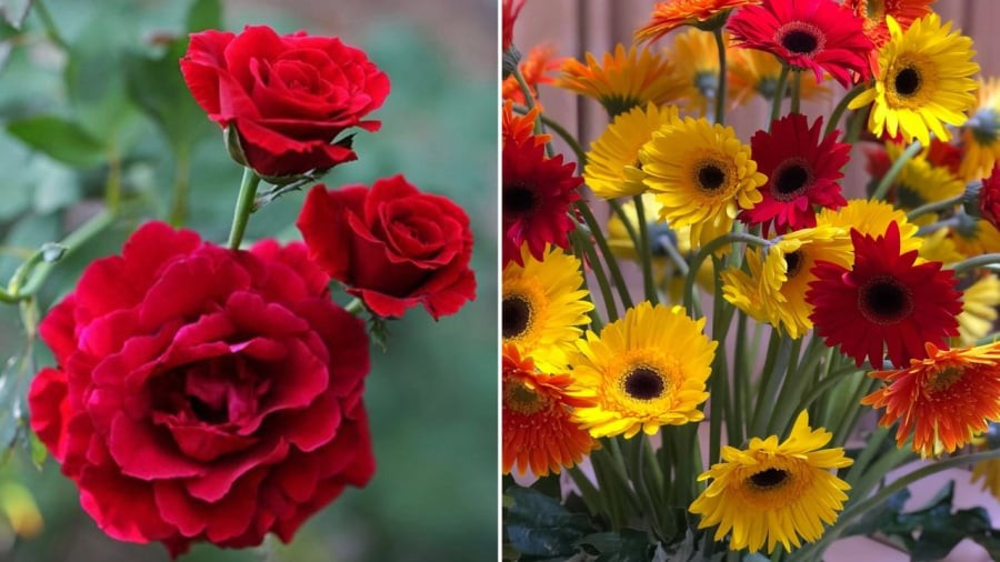 4 loại hoa mang ý nghĩa tài lộc, dâng cúng ngày vía Thần Tài