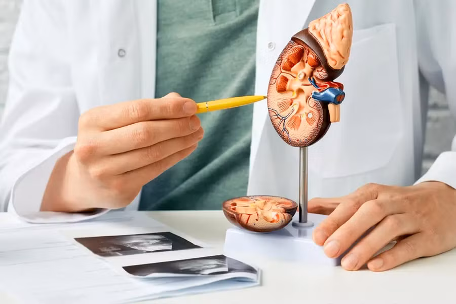 Bệnh thận là “nguyên nhân gây tử vong hàng đầu”. (Ảnh: ITN)