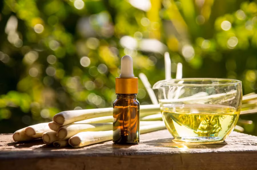 Siêu năng lực của sả được sử dụng cả trong dược phẩm và mỹ phẩm. (Ảnh: ITN)