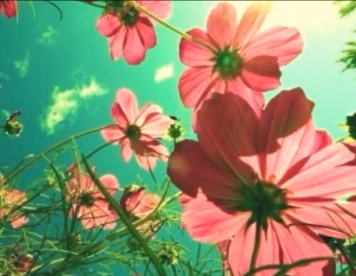 Cự Giải gặt hái được nhiều thành công, Xử Nữ có thần may mắn ở cạnh ngày 18/10