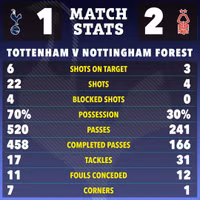 tottenham-5.jpg
