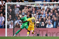 chelsea-9.jpg