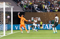 chelsea-6.jpg