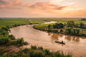 Ảnh minh họa.