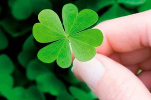 Tử vi 12 cung hoàng đạo ngày 23/2: Song Ngư nhận nhiều niềm vui, Cự Giải năng lượng dồi dào