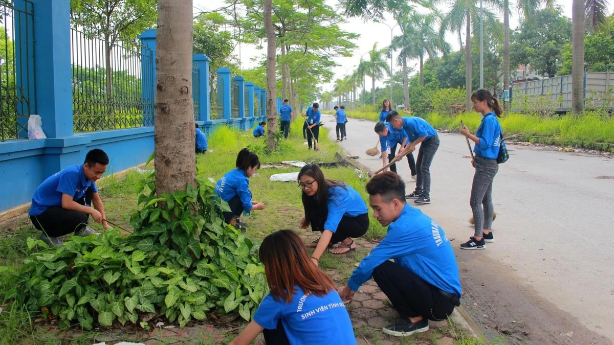 Hành trang vào đại học: Nỗ lực để tỏa sáng