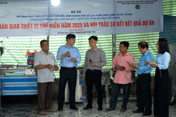 Cần Thơ đa dạng hóa sản phẩm chế biến từ vú sữa, tạo sinh kế mới cho người dân