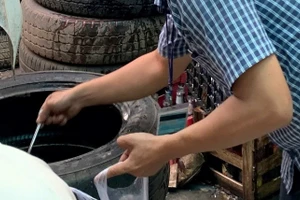 Diệt lăng quăng giúp phòng, ngừa bệnh Sốt xuất huyết.