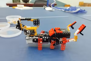 Người học STEM có thể áp dụng kiến thức để giải quyết các vấn đề thực tiễn trong cuộc sống. 