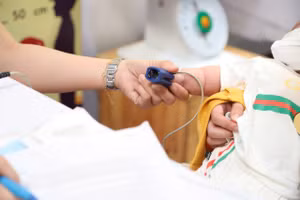 Tỷ lệ sốt xuất huyết tại TPHCM tăng báo động. (Ảnh minh họa: L.N).