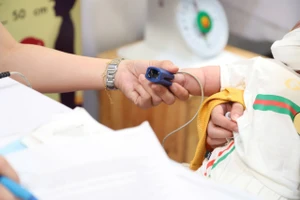Tỷ lệ sốt xuất huyết tại TPHCM tăng báo động. (Ảnh minh họa: L.N).
