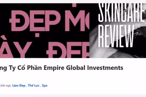 Công ty Cổ phần Empire Global Investments bị phạt 106 triệu đồng.