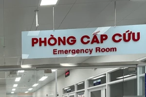 Ngành Y tế TPHCM hướng về ngày bầu cử. (Ảnh minh họa).