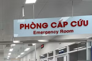 Ngành Y tế TPHCM hướng về ngày bầu cử. (Ảnh minh họa).