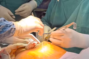 Hoạt động đánh giá được thực hiện một cách toàn diện dựa trên nhiều tiêu chí khắt khe. 